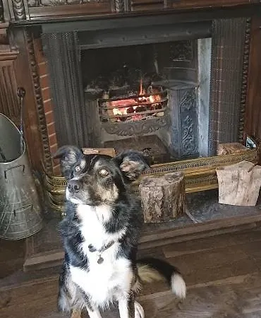 Han/Misafirhane The Black Bull And Coniston